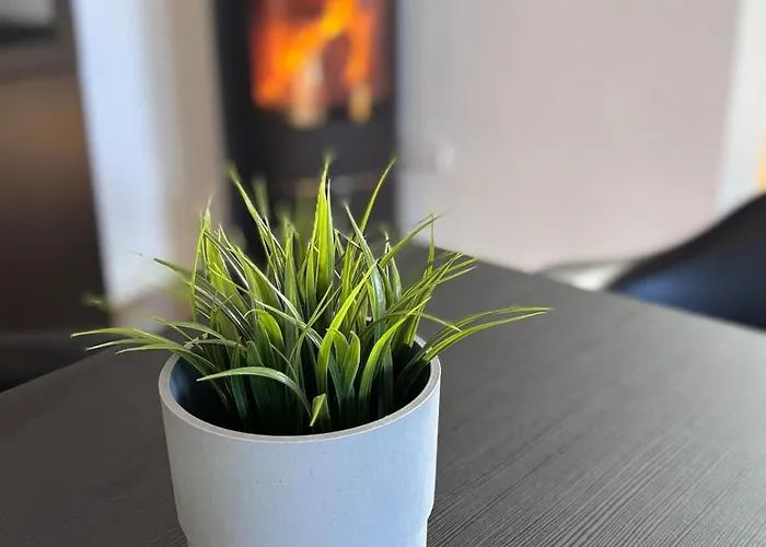 Lejlighed Juwel Im Pott-zentral-100 Qm-stellplatz-balkon-kamin *