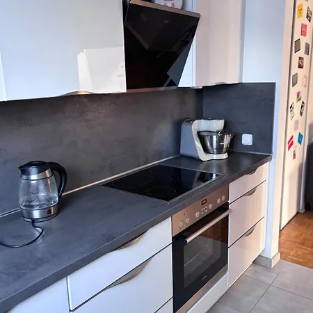 Juwel Im Pott-zentral-100 Qm-stellplatz-balkon-kamin Apartman *