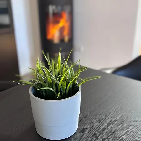 Apartman Juwel Im Pott-zentral-100 Qm-stellplatz-balkon-kamin *