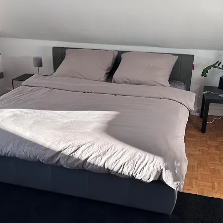 Apartman Juwel Im Pott-zentral-100 Qm-stellplatz-balkon-kamin *
